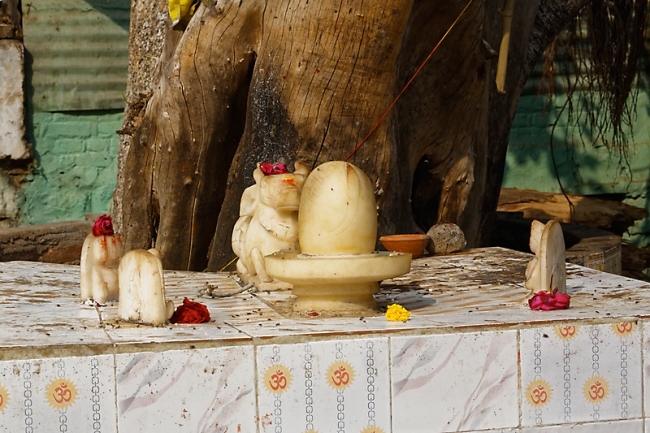 Sur la route d'Orchha-125
